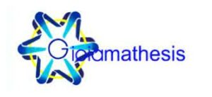 GIOCHI MATEMATICI